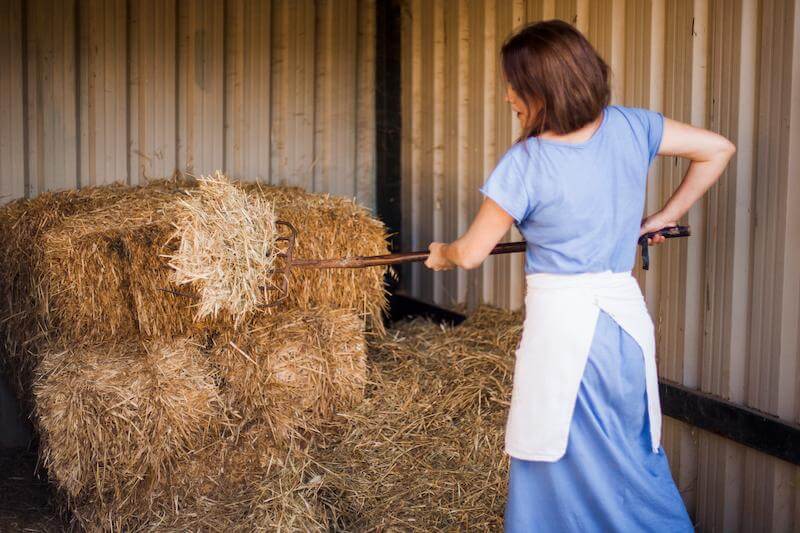 Les bases d'une alimentation équilibrée