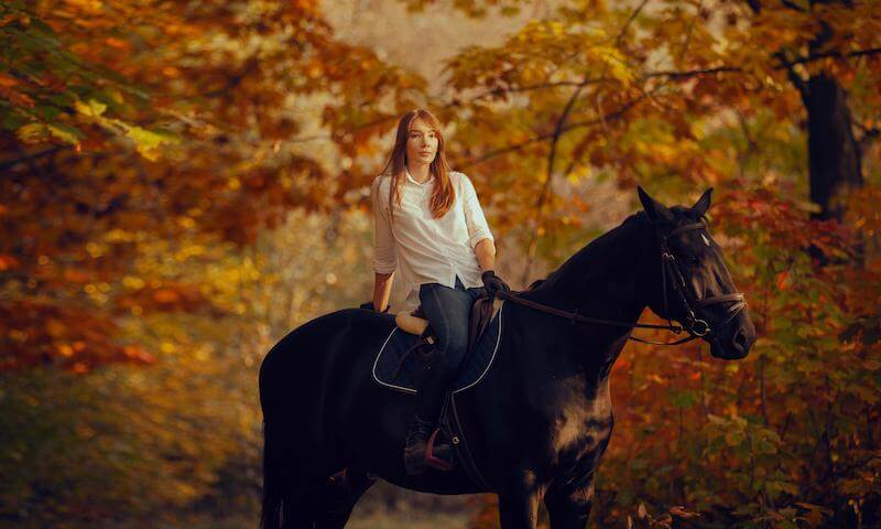 Préparer son cheval au changement de saison