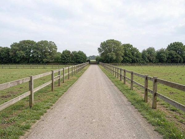 Visite du domaine de La Boissière Stud